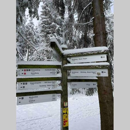 Zeit Fuer Dich Am Bergelchen, Winterberg Lejlighed Eksteriør billede