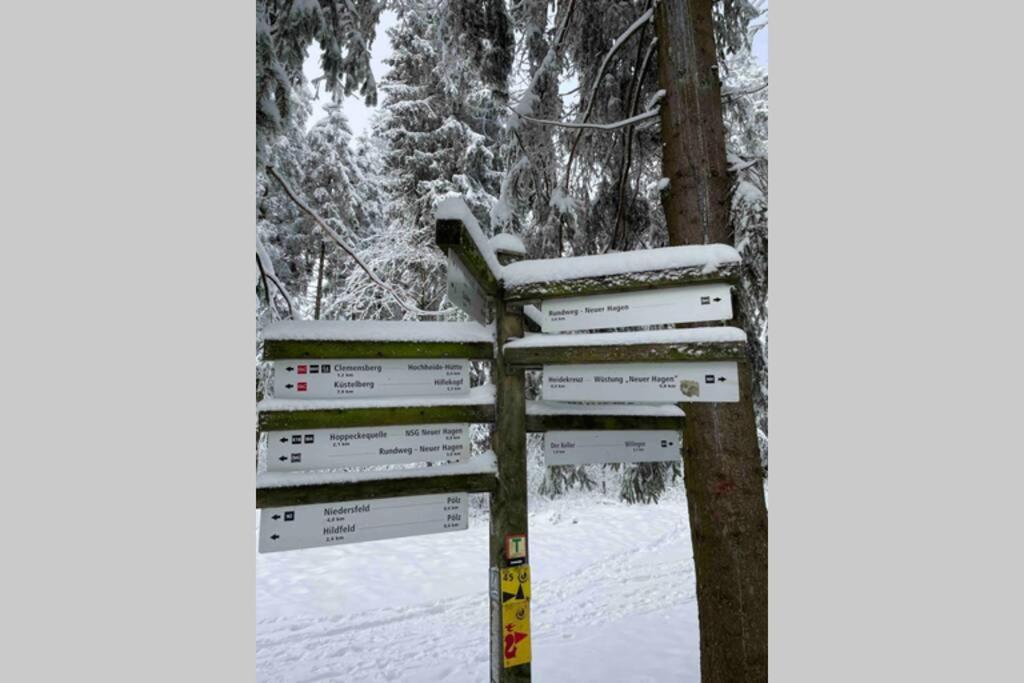 Zeit Fuer Dich Am Bergelchen, Winterberg Lejlighed Eksteriør billede